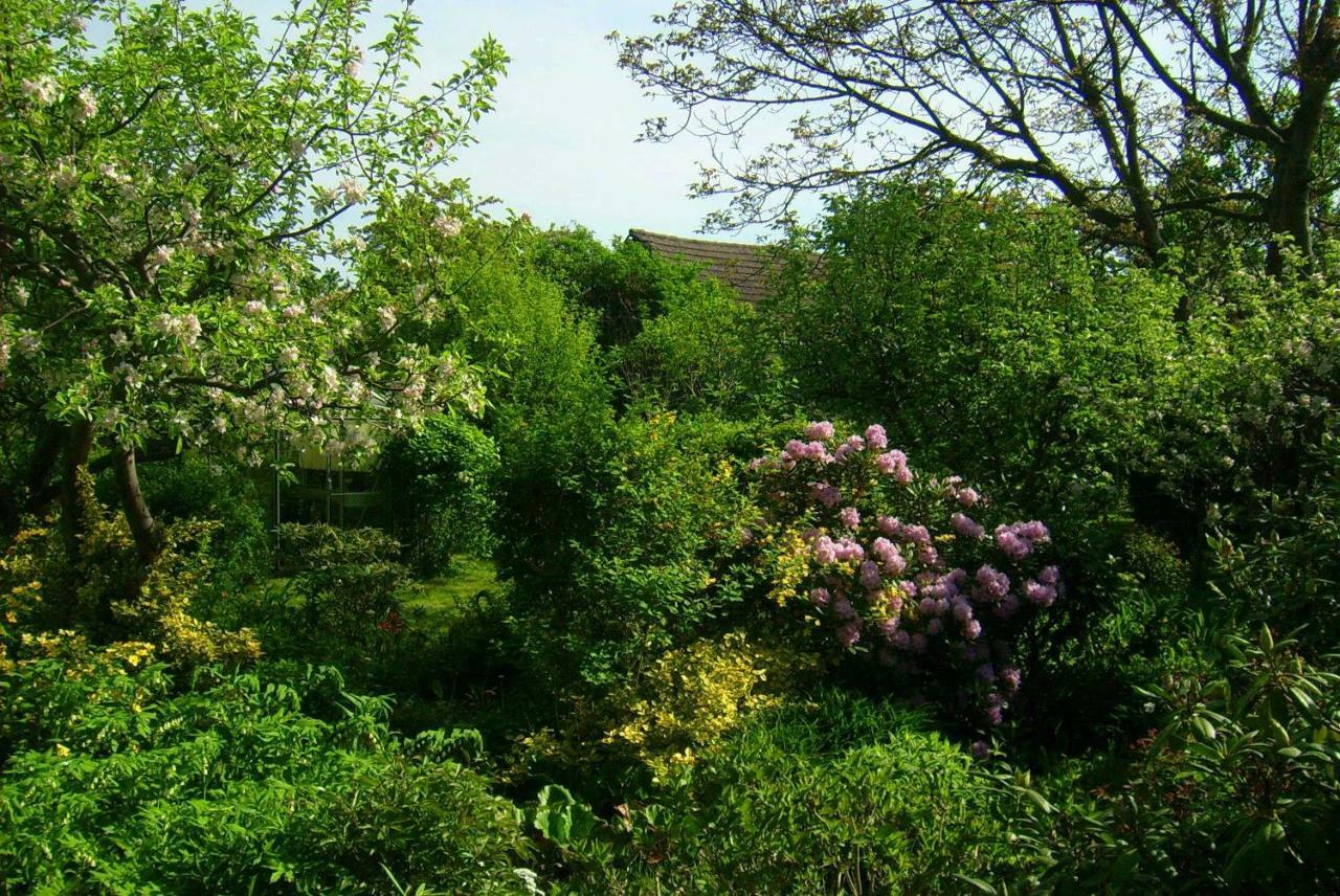 Ferienhaus Annemarie Senftenberg Luaran gambar
